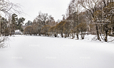 Домовладение с 5 спальнями 1000 м2 в посёлке Усадьба Подушкинского лесопарка Фото 16